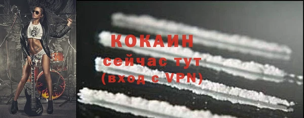 МДПВ Дмитров