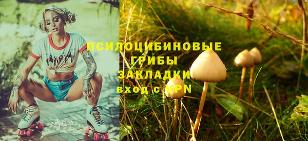 стафф Дмитровск