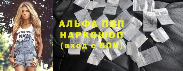 стафф Дмитровск