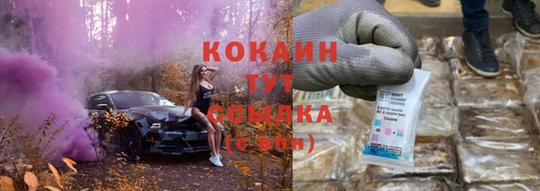 стафф Дмитровск
