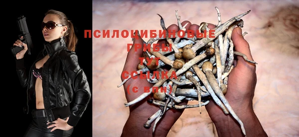 МДПВ Дмитров