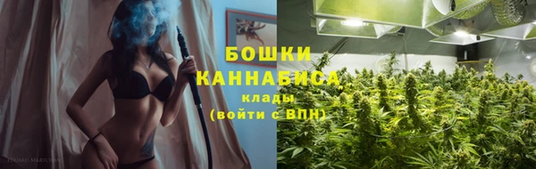 стафф Дмитровск