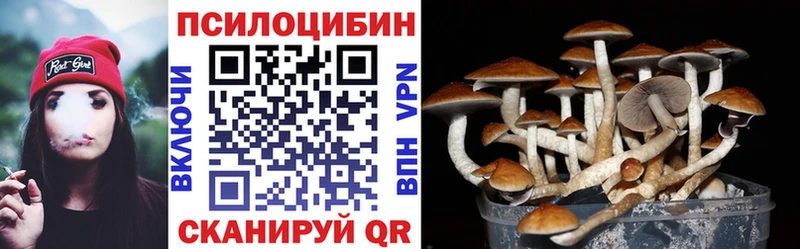 Купить  Карпинск  Псилоцибиновые грибы Psilocybe 
